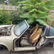 1977 Porsche 911S Targa Body only