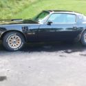 1977 SE Y82 W72 Trans AM 4sp
