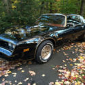1977 Trans Am 6.6L T/A