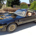 1977 Trans Am Bandit SE Tribute