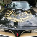 1977 Trans Am SE Y82 400 Number Matching Hurst T-TOPS