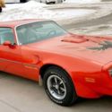 1977 Trans Am survivor