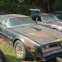 1977 trans am Y82 special edition numbers matching