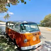 1977 Volkswagen Transporter (Van) Kombi