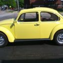 1977 VW Standard Beetle