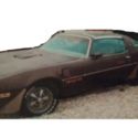 1977 with Hard to find Rare T-Top Trans Am