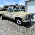 1977chevrolet truck duel wheel 454