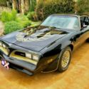 1978 Bandit Trans Am