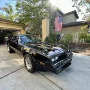 1978 Bandit Trans-AM Y88 special Edition Black On Black, W72 and WS6 Packages