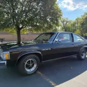 1978 Buick Skylark, Black with 8718 Miles available now!