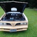 1978 factory 4-speed Gold Trans Am