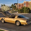1978 Firebird Trans Am, Y88 Special Edition, Solar Gold