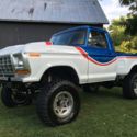 1978 Ford F-150 Custom Cab & Chassis 2-Door 6.6L