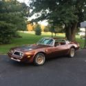 1978 Friebird trans am
