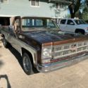 1978 GMC/C10 Heavy Half