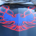 1978 Pontaic Firebird Esprit Hurst Dual Gate