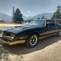 1978 Pontiac Firebird  &#034;Formula&#034;
