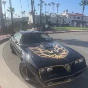 1978 Pontiac Firebird Coupe Black
