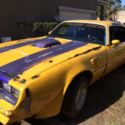 1978 Pontiac Firebird Trans Am - Project Car