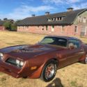 1978 Pontiac Firebird Trans Am TTOPS Very Original SURVIVOR WORLDWIDE NO RESERVE