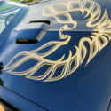 +++1978 Pontiac Firebird Trans Am W72. 4 speed. 26,530 miles. Original Paint+++