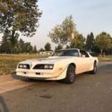 1978 Pontiac Trans Am 6.6 Liter