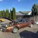 1978 Pontiac Trans Am Brown RWD Automatic