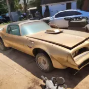1978 pontiac trans am gold edition y88