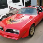1978 Pontiac Trans Am - T-top - 4 Speed -* NO RESERVE*