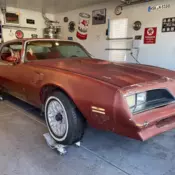 1978 Pontiac Trans Am White