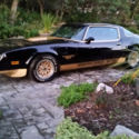 1978 Trans Am Rare Macho T/A #199 Turbo 60k original mile Bandit SE Recaro Seats