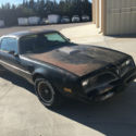 1978 Trans Am SE Y82 PHS No Reserve