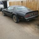 1978 Trans Am SE Y84 1 of 20 rare