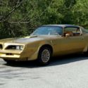 1978 Trans Am  Y88 Special Edition Gold