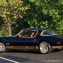 1978 Turbo Macho Trans Am #202
