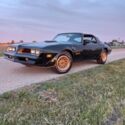 1978  Y82 Special edition Trans Am