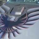 1979 10th Anniversary Trans Am Numbers Car