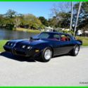 1979 1979 Pontiac Trans Am Custom Show 1 of kind Used Automatic