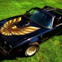 1979 1980 1981 Trans Am Bandit, MUSEUM QUALITY