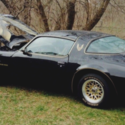 1979 ,79  TRANS AM * SPECIAL EDITION * Y84 *