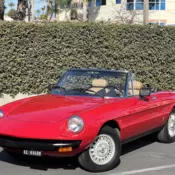 1979 Alfa Romeo Spider 2000 Iniezione