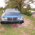 1979 AMC