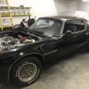 1979 Bandit Trans Am