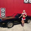 1979 Black and Gold  Pontiac Trans Am Smokey and the Bandit