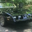 1979 Black Pontiac Firebird Formula American Musicle Car Classic