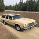 1979 BUICK ESTATE WAGON - FULLY OPTIONED