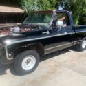 1979 Chevrolet C-10 Pickup Red RWD Automatic bonanza