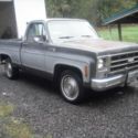 1979 Chevrolet C10 Silverado SWB Pickup Truck 350 OLDS. V8   TURBO 400