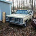 1979 Chevrolet C10/K10 Pickup Brown RWD Automatic Scottsdale