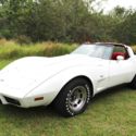 1979 Chevrolet Corvette 77k Original Miles T-Tops 350 V8 Coupe | 90+ HD Pictures